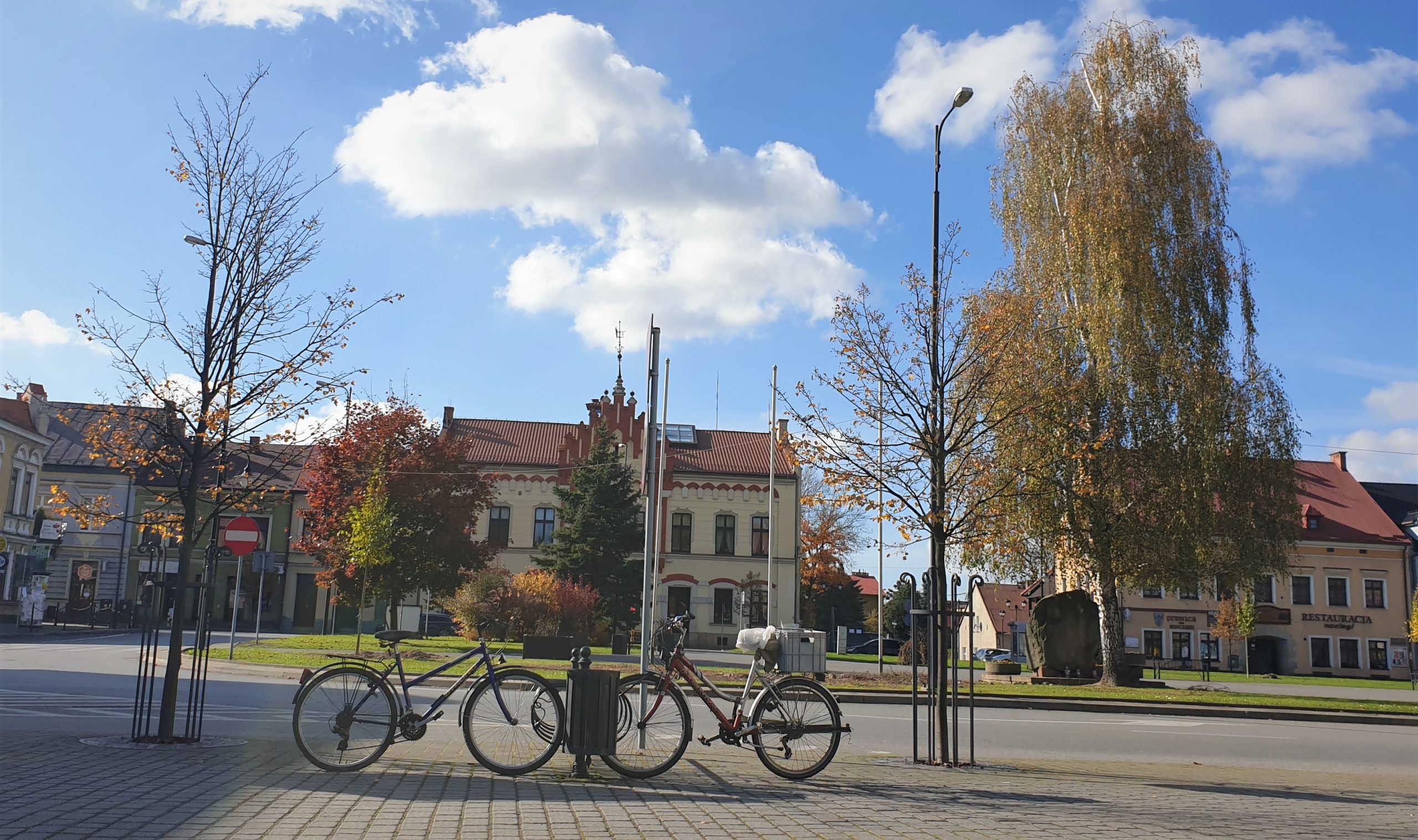 Read more about the article RYNEK