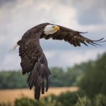 Drogowskaz na polske. Przewodnik po Polsce